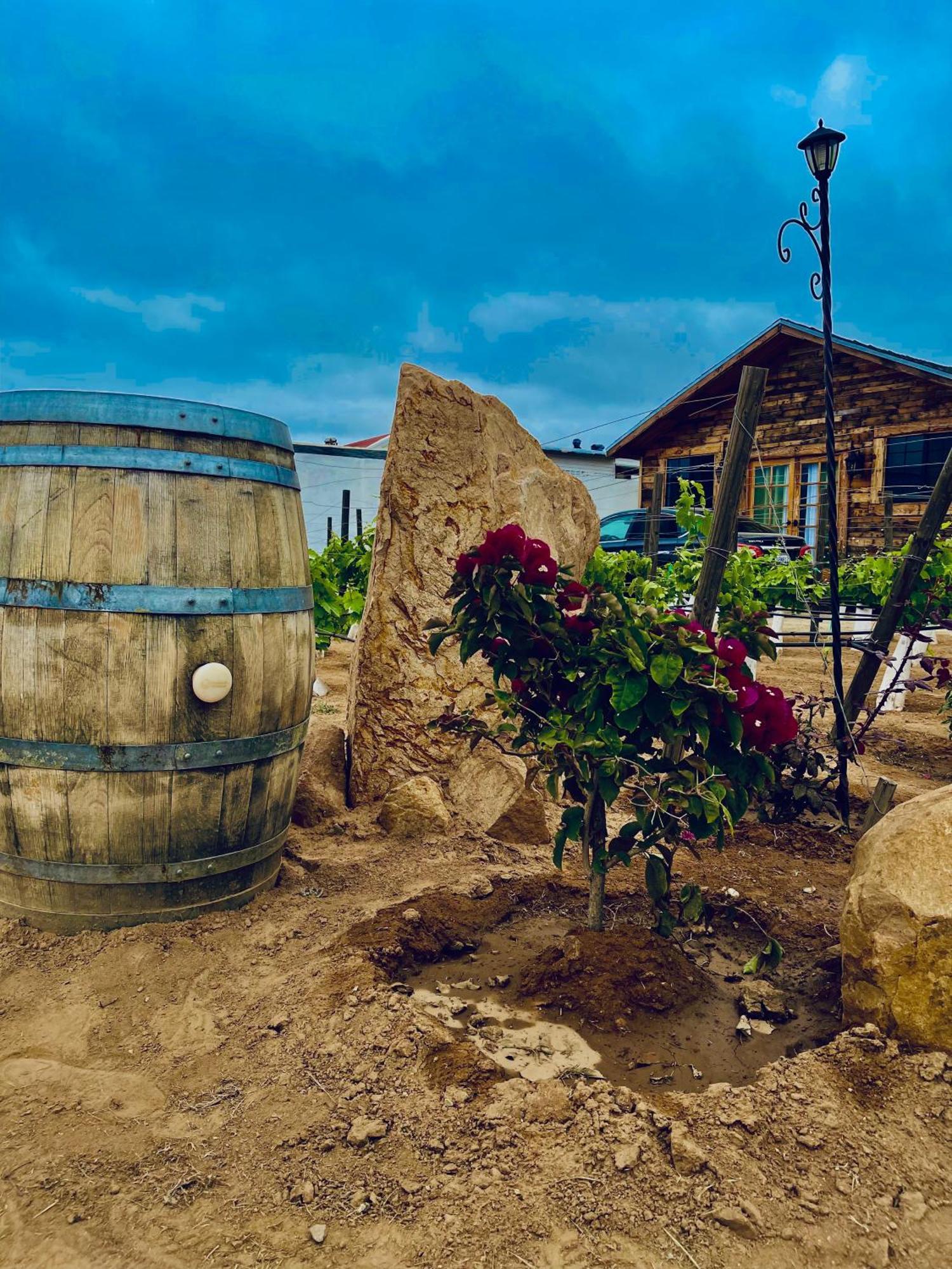 Hacienda 7 Amores El Porvenir Esterno foto